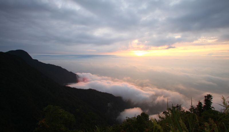 dinh rung rinh tam dao vinh phuc