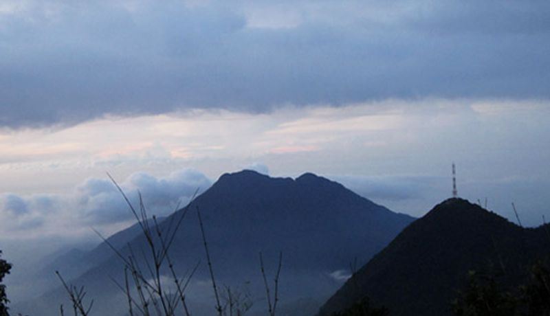 dinh rung rinh tam dao vinh phuc