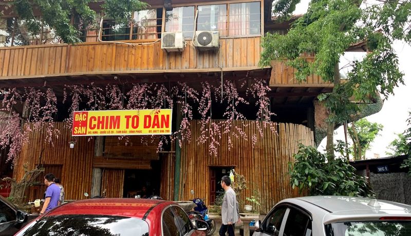 nha hang chim to dan tam dao