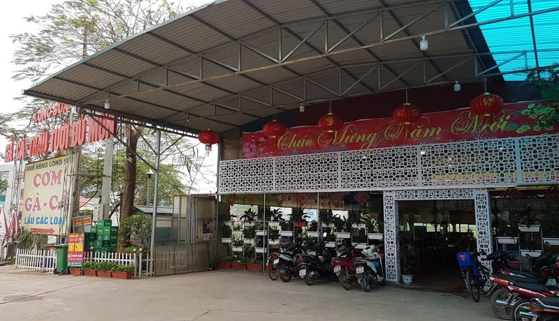 nha hang long sua ba vi