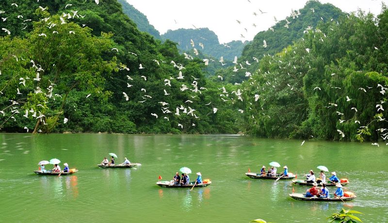 vuon chim thung nham trang an ninh binh