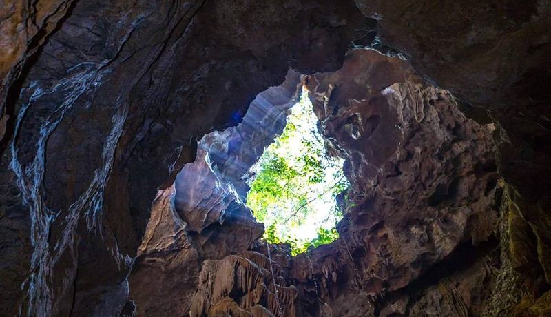 hang but vuon chim thung nham trang an ninh binh