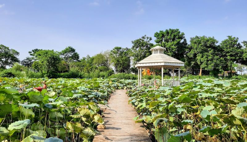 bai da song hong dia diem vui choi cuoi tuan o ha noi
