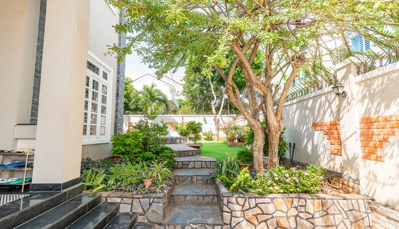 khuon vien palm 6 villa vung tau
