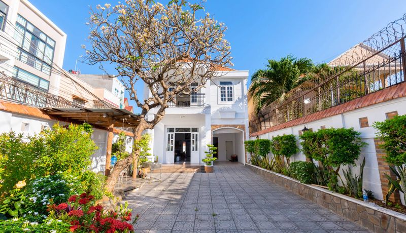 khuon vien palm 2 villa vung tau