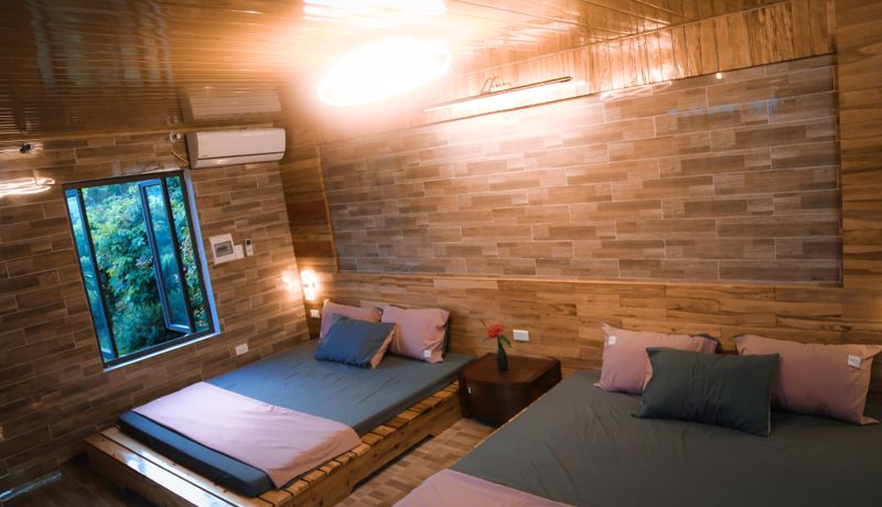 phong ngu pine garden can nho homestay soc son ha noi