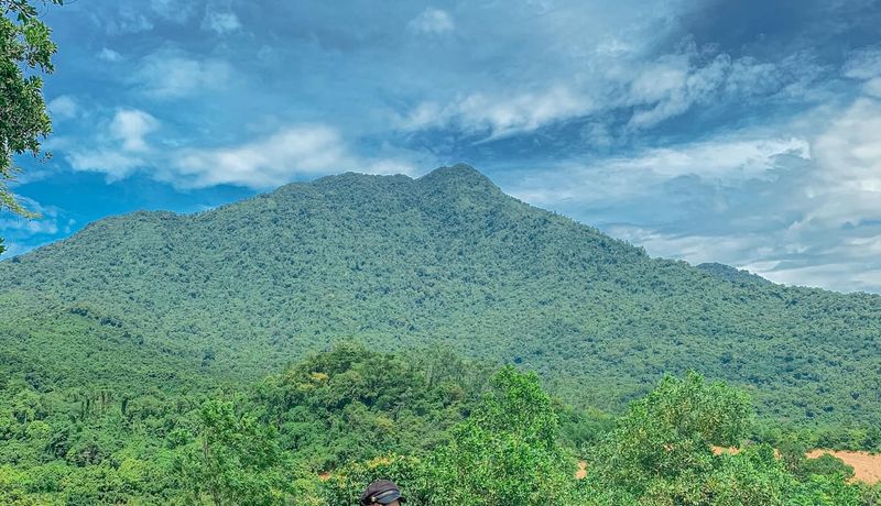 khu cam trai son tinh camp du lich gan ha noi
