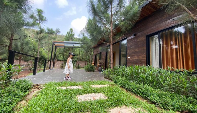 khuon vien wood lee homestay soc son ha noi