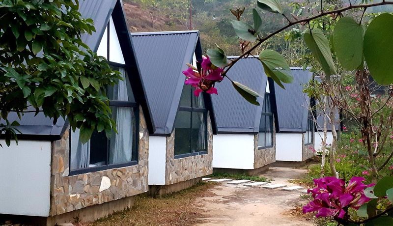 bungalow daisy queen homestay ba vi