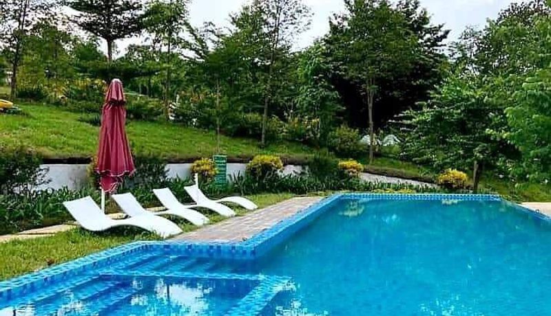 bungalow daisy queen homestay ba vi