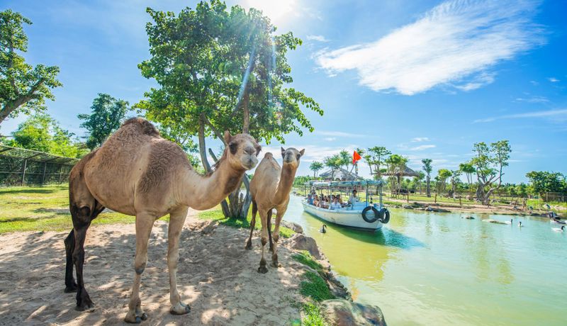 justfly vinwonders nam hoi an