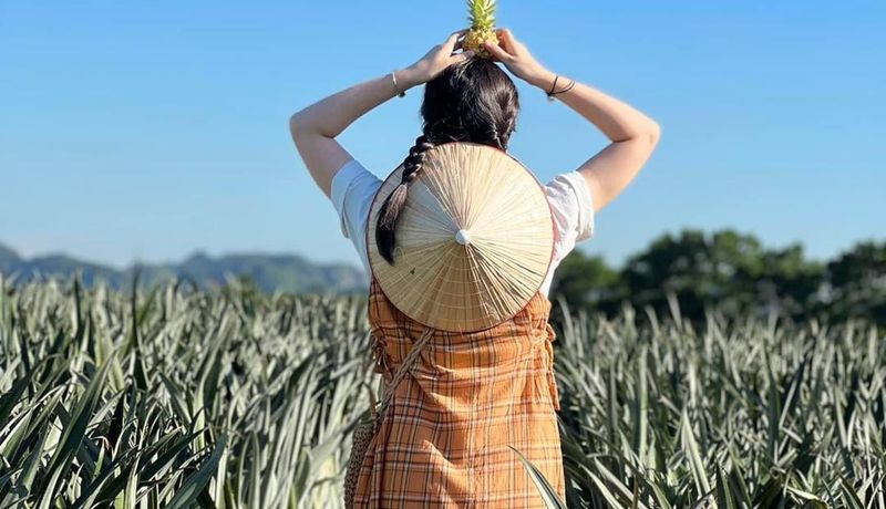 justfly doi dua tam diep ninh binh