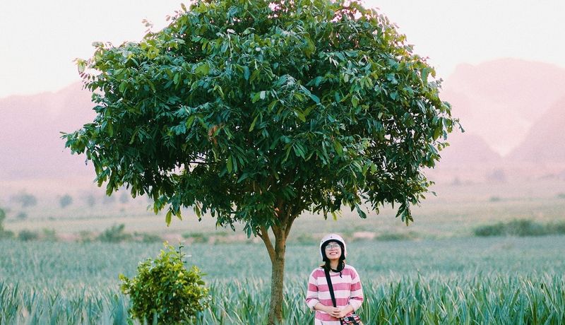 justfly doi dua tam diep ninh binh
