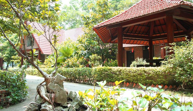 justfly hang mua homestay ninh binh
