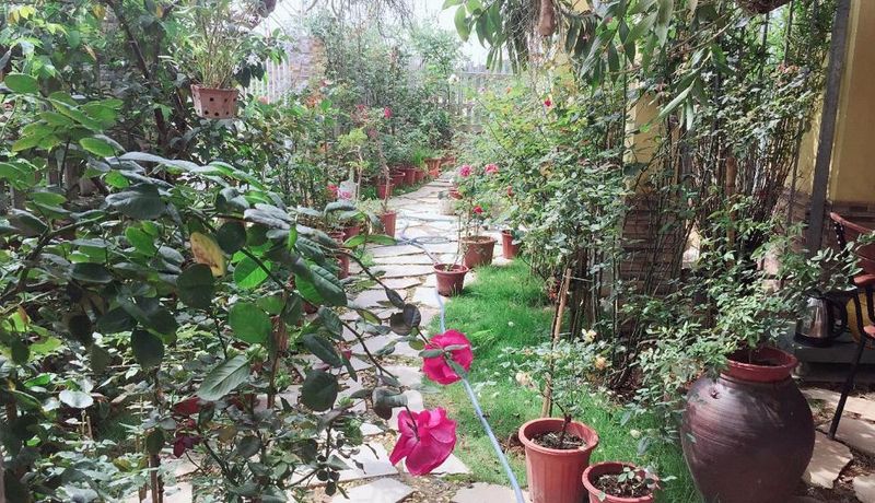 biet thu view vuon rose homestay ninh binh