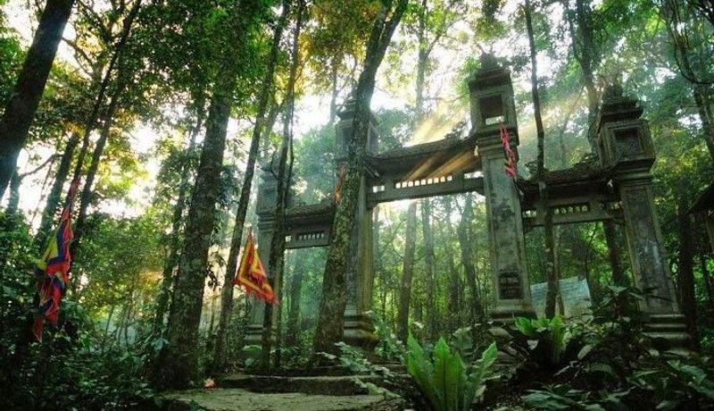 den thuong ba vi