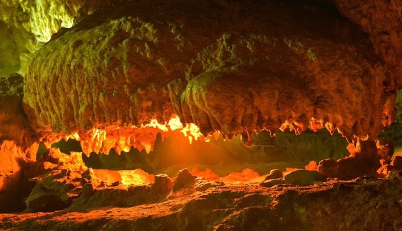 dong thien ha ninh binh 