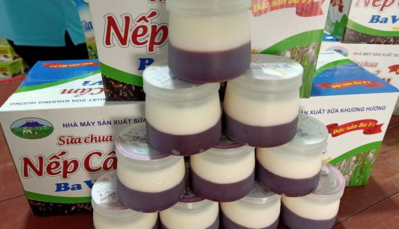 dac san sua chua banh sua son tay ha noi 