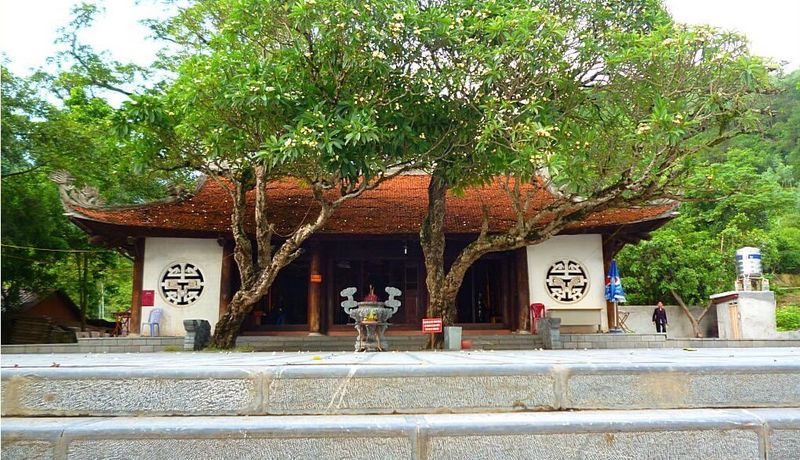den thong tam dao 
