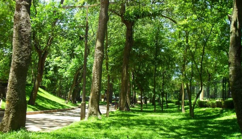 vuon bach thao ha noi 