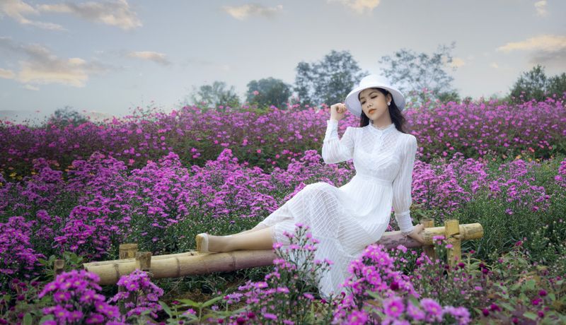 thung lung hoa ho tay ha noi 