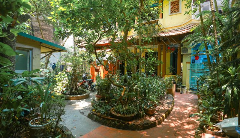 nha co ha noi 