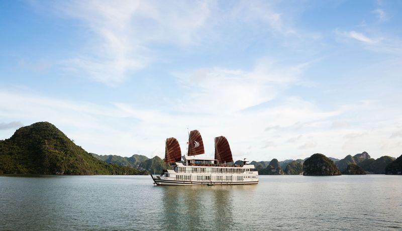 pelican glory pelican cruise ha long