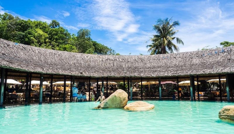 dendro hotel nha trang 