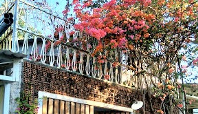 peace house phu quoc