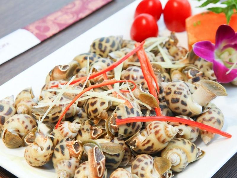 bi kip mua hai san ngon cho xom luoi vung tau