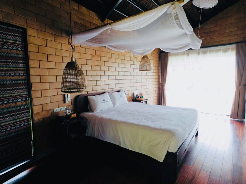 tra xanh tomodachi retreat lang mit