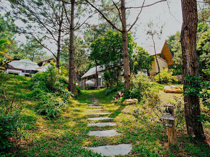 khuon vien amaya home homestay soc son ha noi 