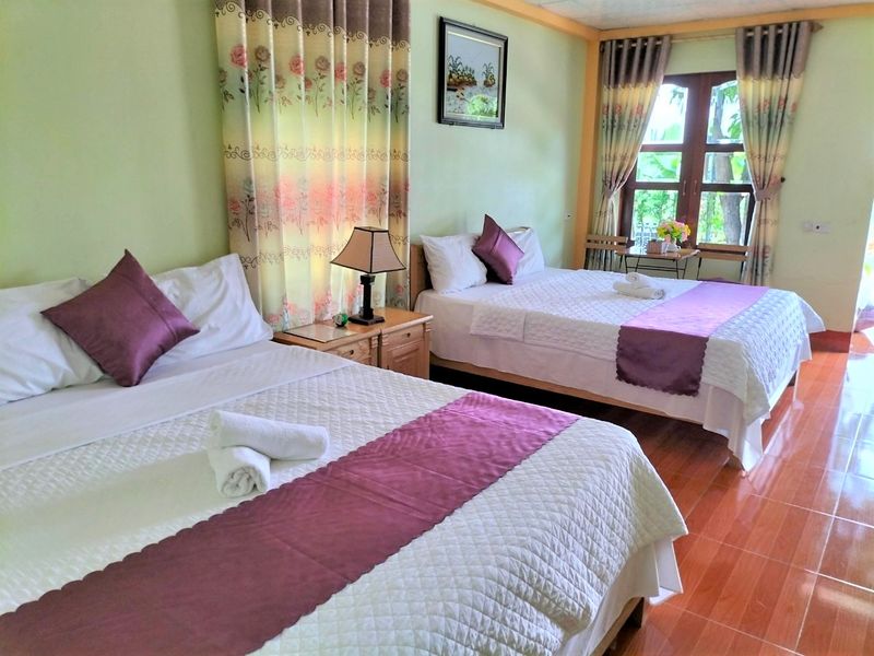 justfly phong triple tam coc rice fields homestay ninh binh