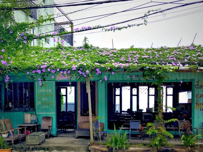 thanh xuan nha cua tuoi thanh xuan tam dao