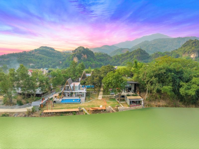 justfly hoa sau gieng hoa binh 