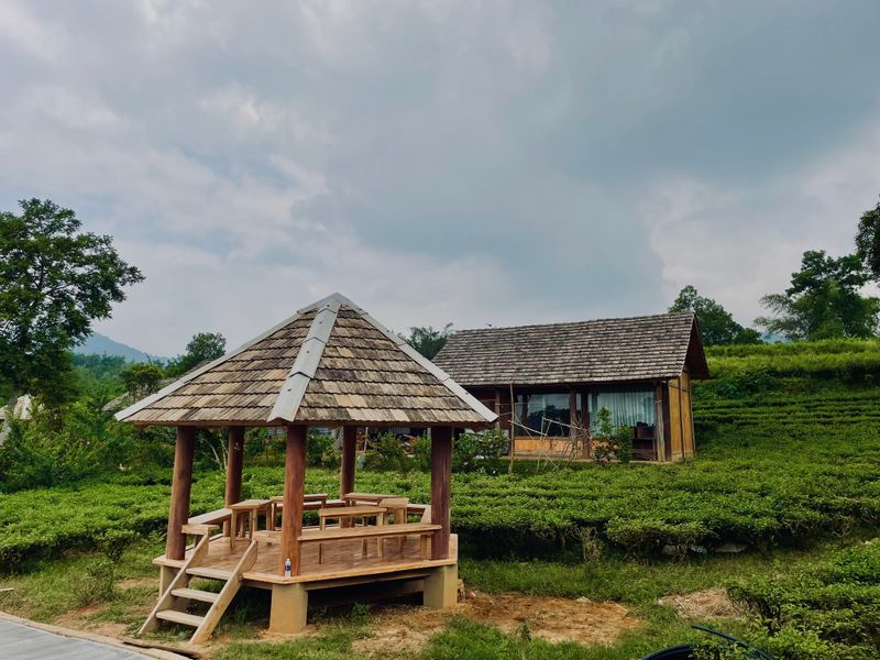 justfly anh khu  mura retreat ba vi