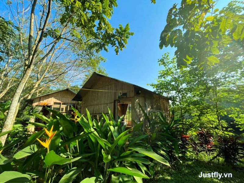 can ban trang homestay ba vi