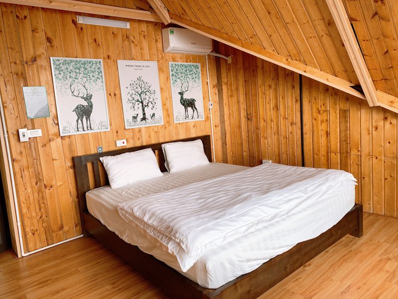 justfly ap mai 114 khu biet thu poko ecolodge  