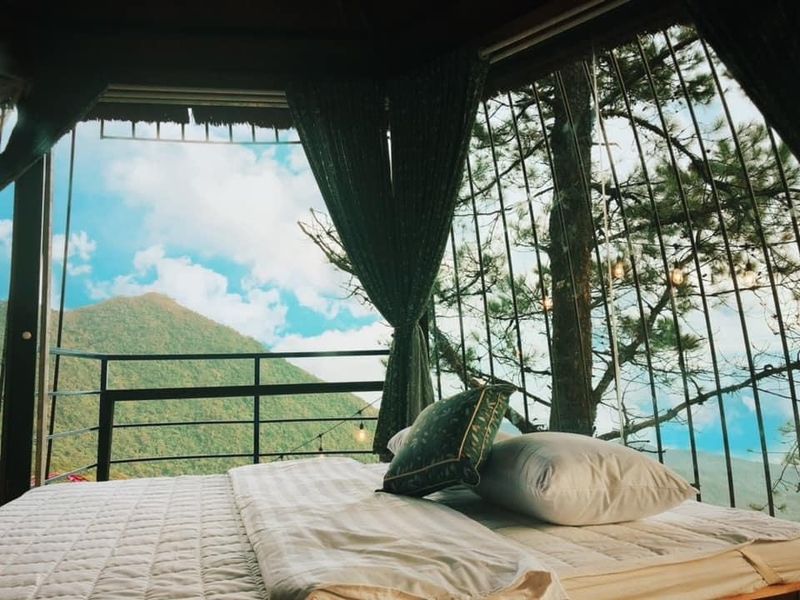 nha to chim poko ecolodge tam dao