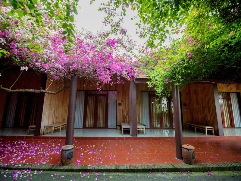 justfly pho nho thao vien resort