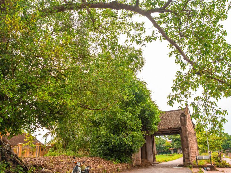 lang co duong lam son tay dia diem du lich ha noi atthan82