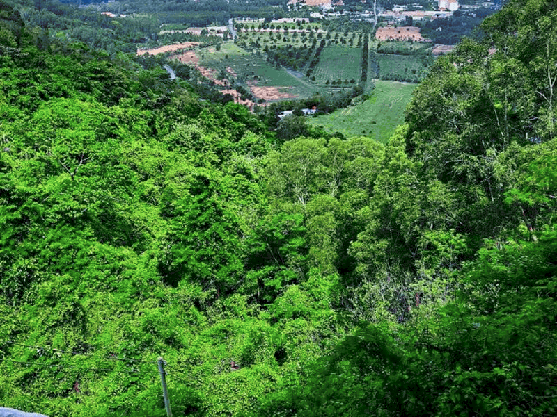 nui thi vai dia diem du lich vung tau attvut38