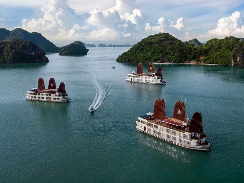 pelican glory pelican cruise ha long