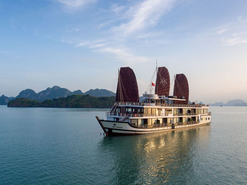 orchid trendy pelican cruise ha long bay 