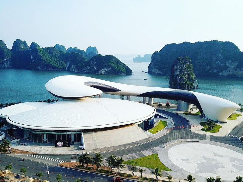 cung ca heo ha long