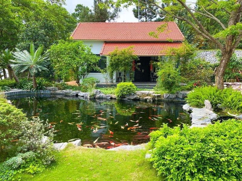 spring house orestay ha long 