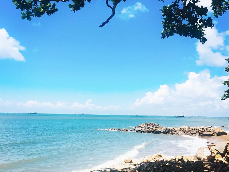 bai dau vung tau