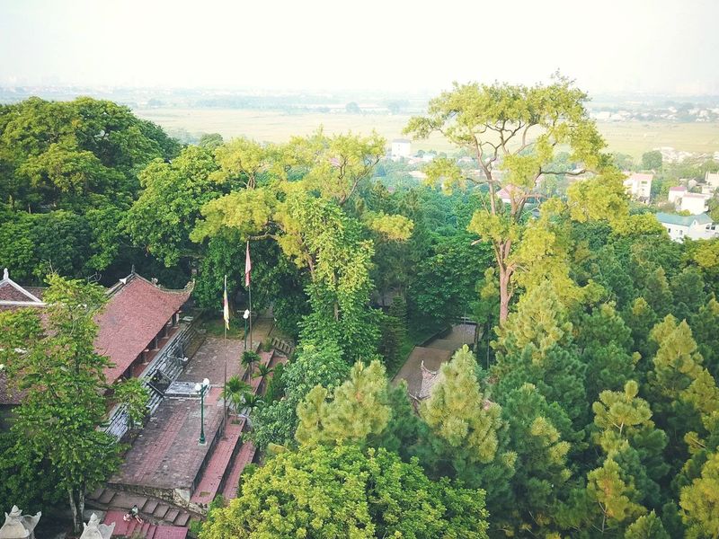 justfly chua tram gian hanoi