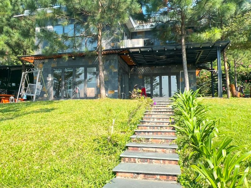 justfly pine 1 pine garden soc son
