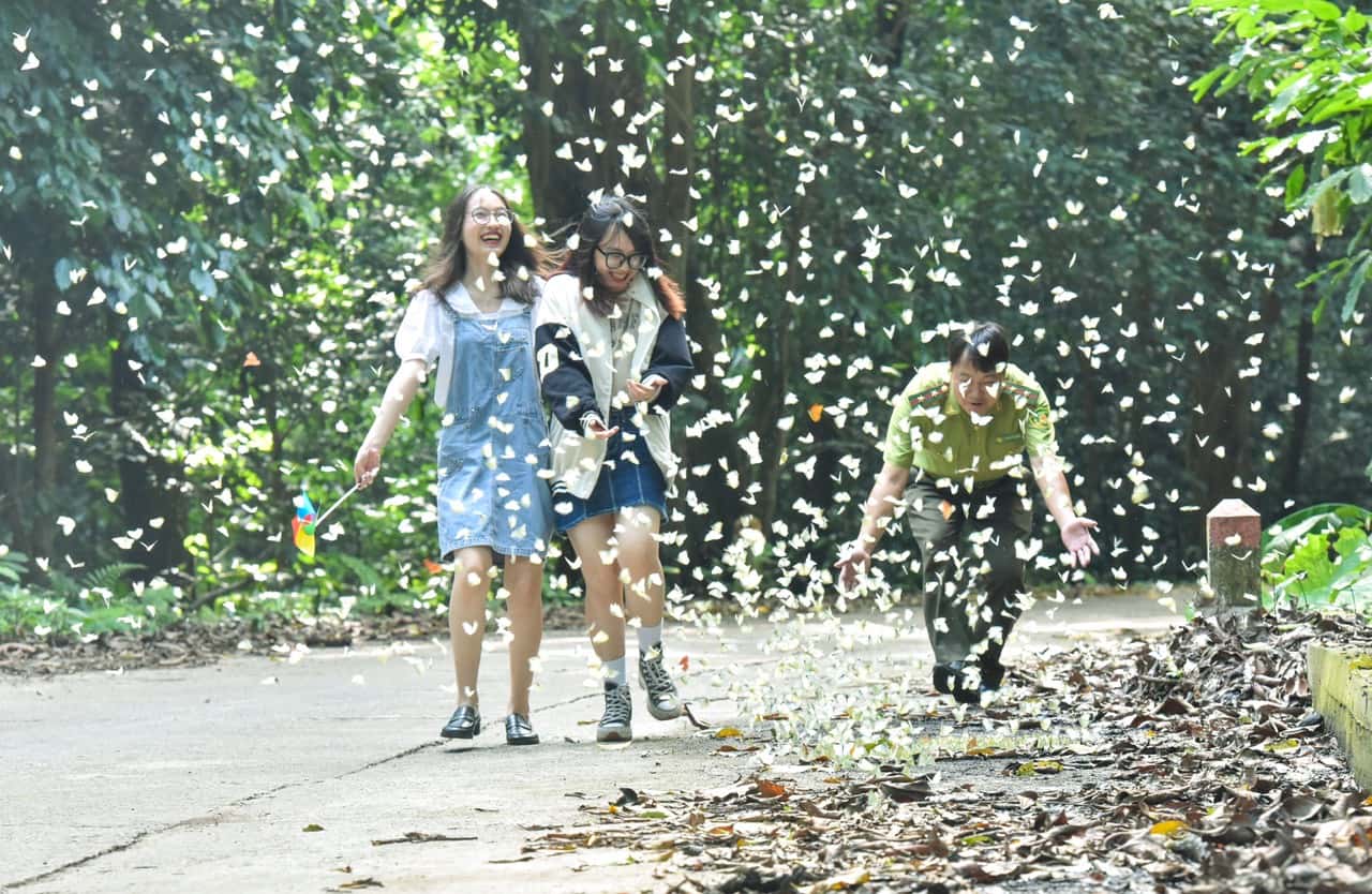 Vườn Quốc gia Cúc Phương, Ninh Bình — ảnh 33